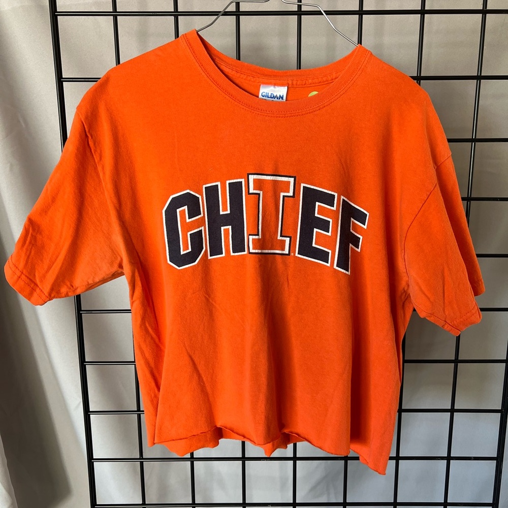 VINTAGE Illinois Chiefs Tee, Cropped - Size M